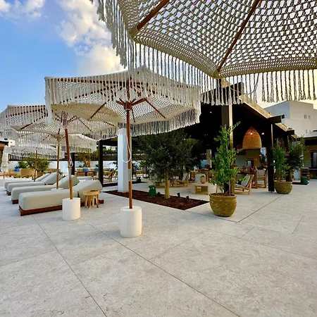 Casa Mimosa *